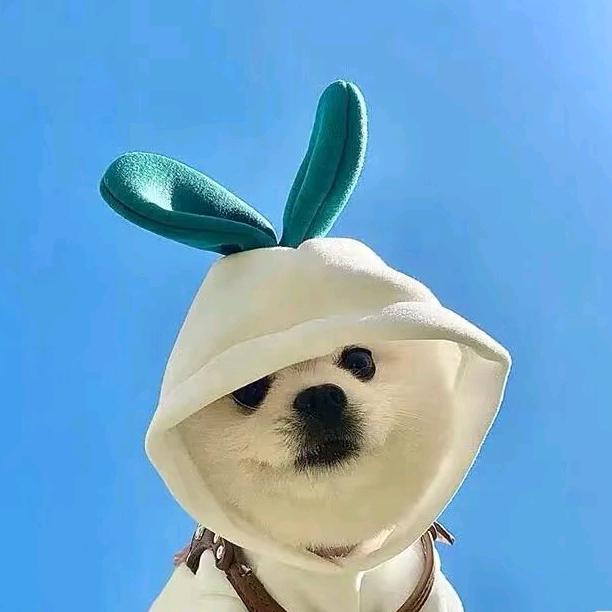幸运小桃子