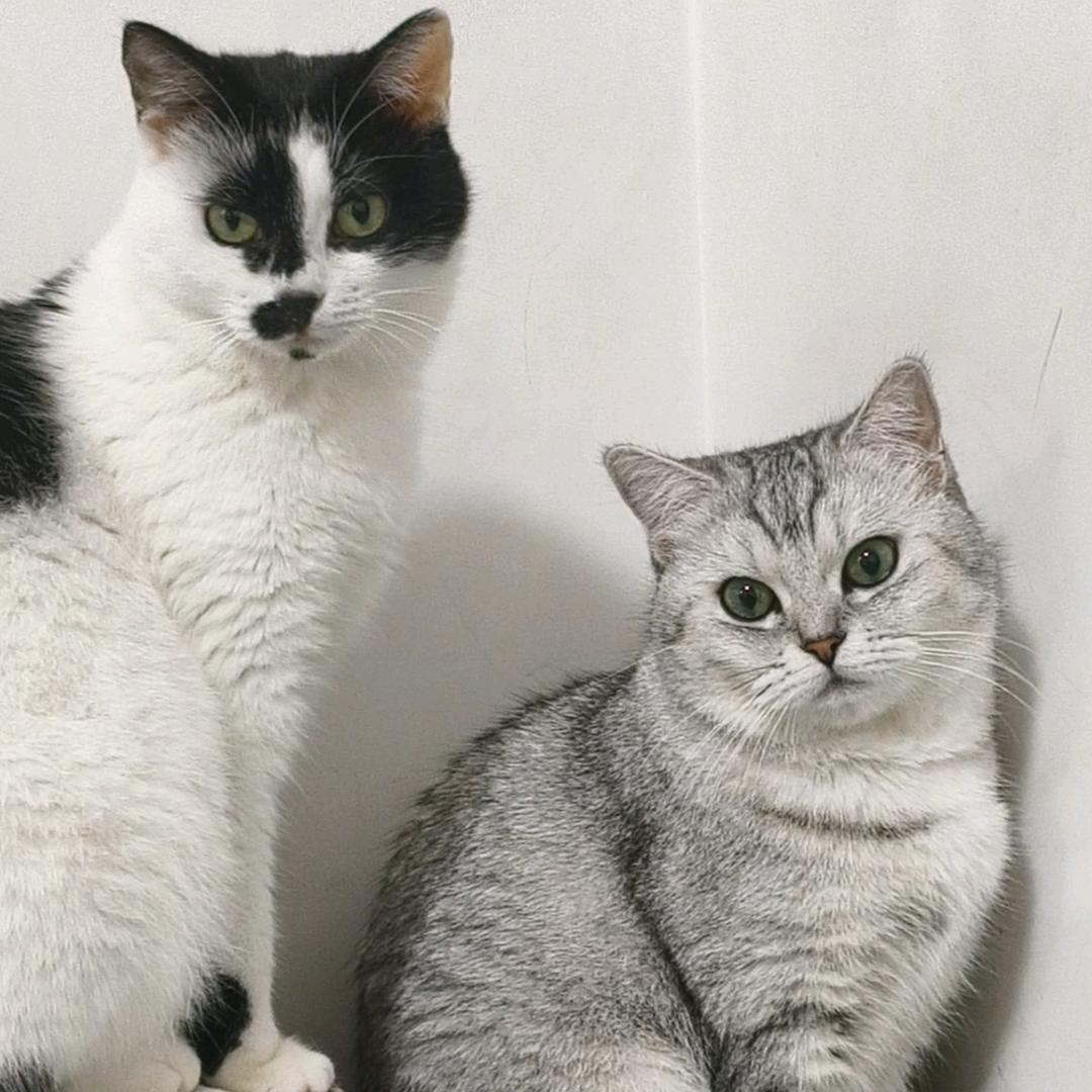 小白起了也白起