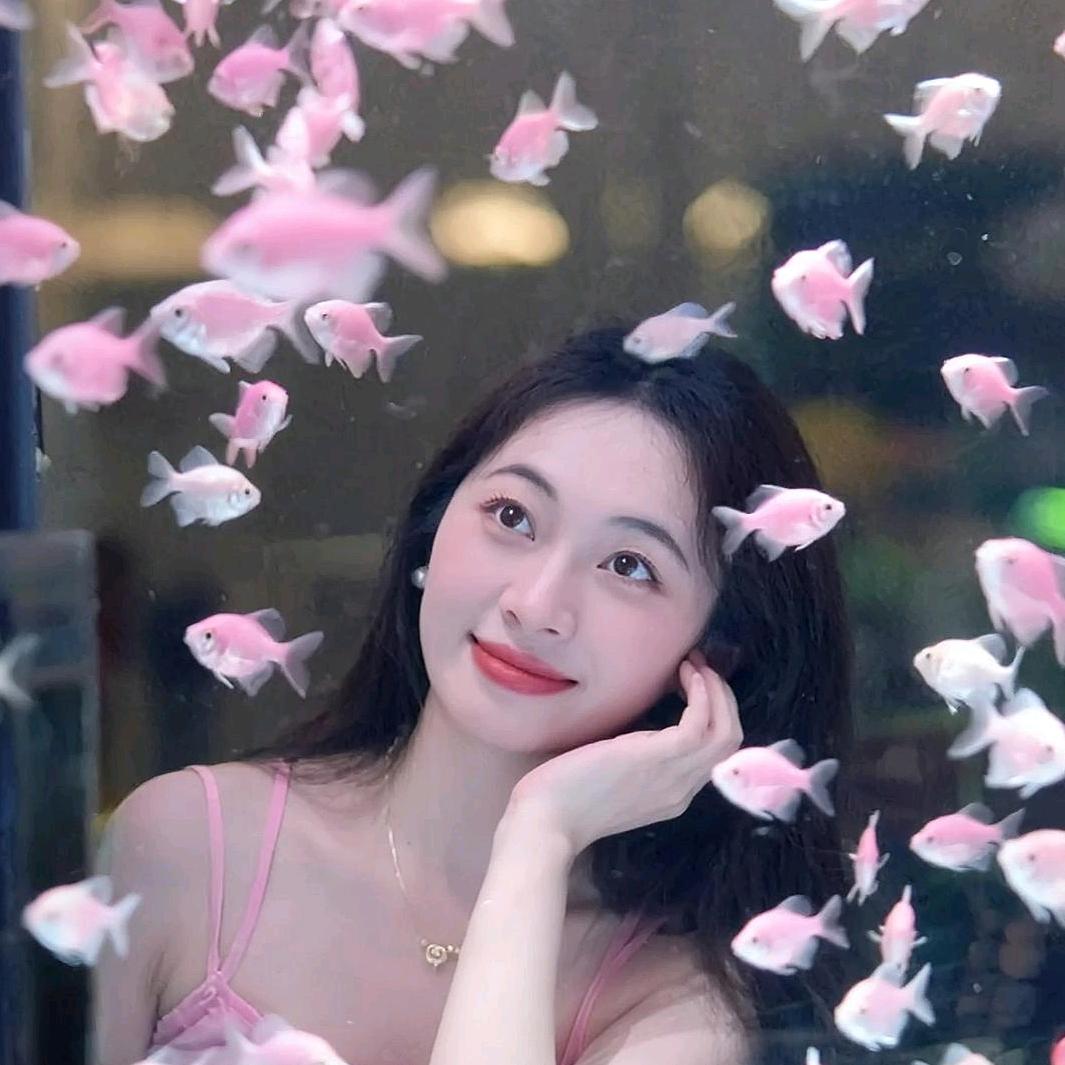 羊咩咩