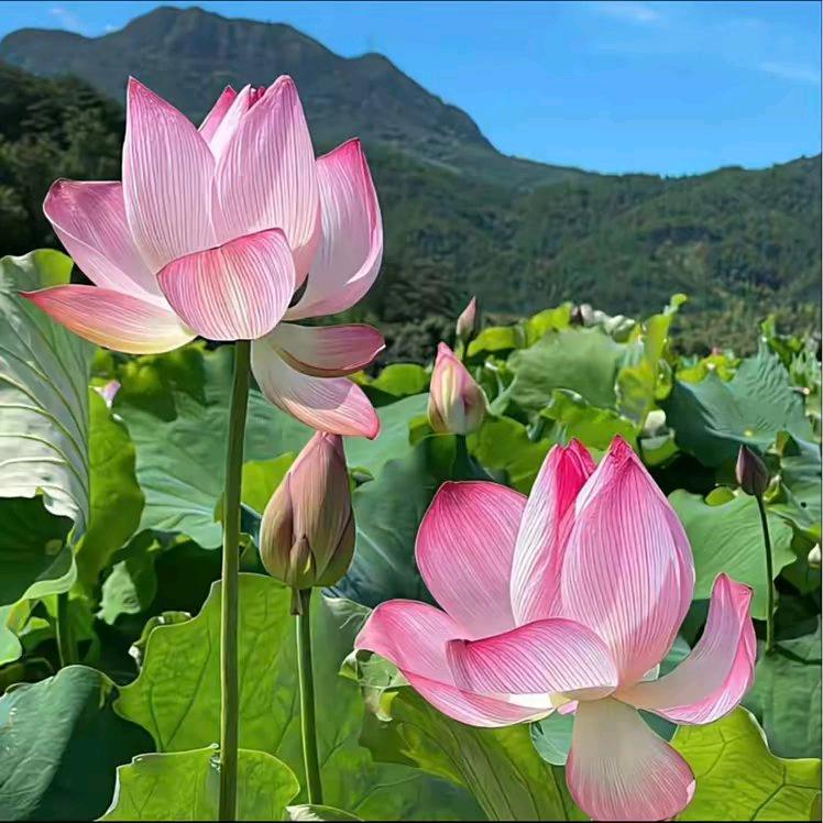 你终ღ᭄是ღ᭄我的(^.^)ꦿ遗憾꧂