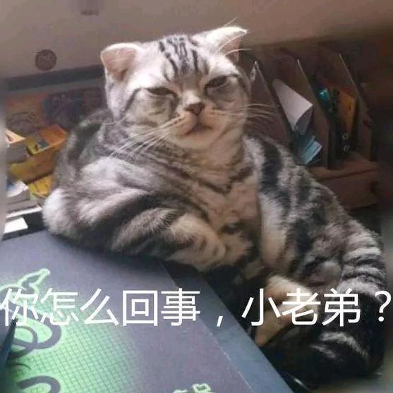 绿春蛮悌直播55号