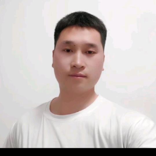 墙面翻新巜品合小蜜蜂》