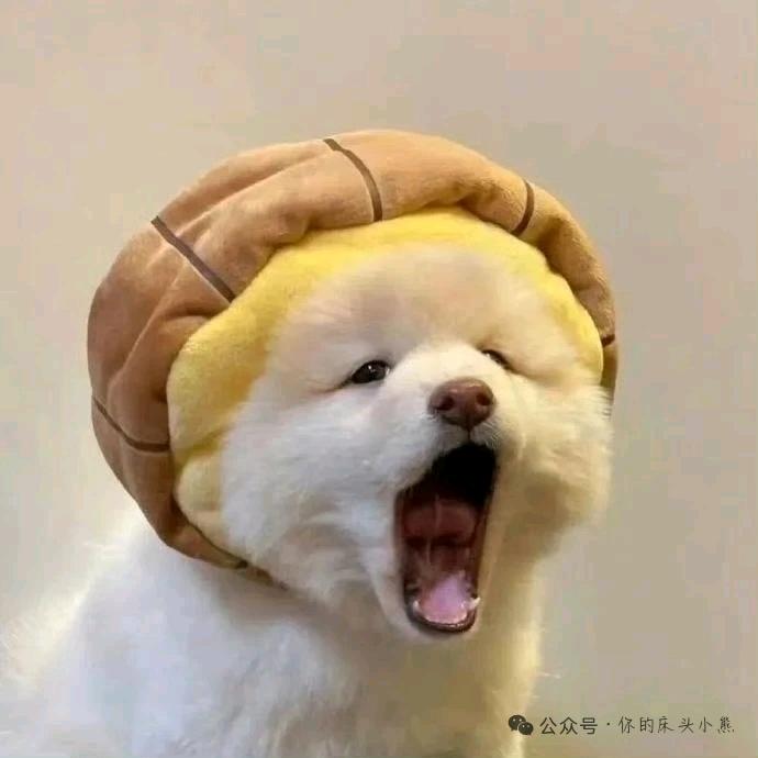 65岁午夜忧郁老爹