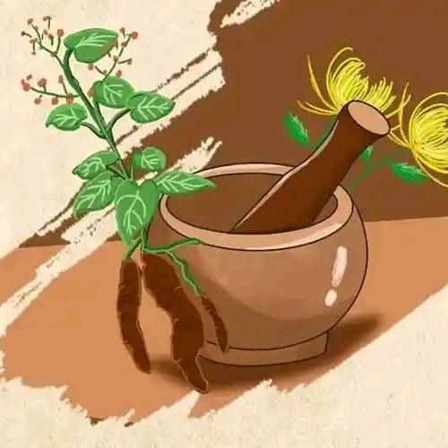 紫苏养心