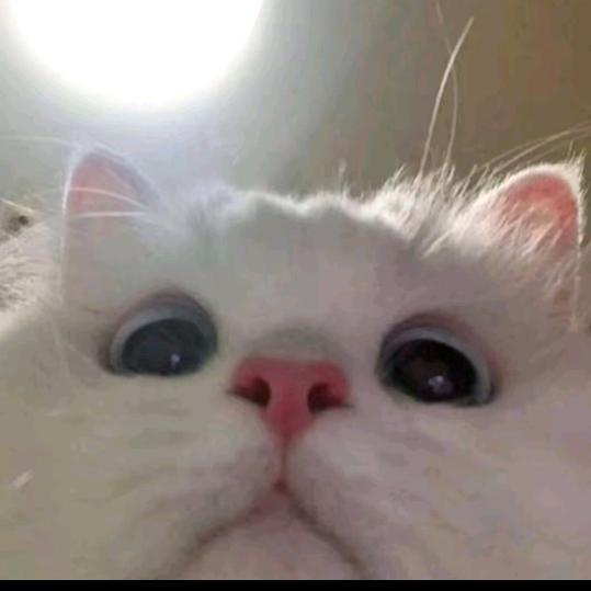 归离