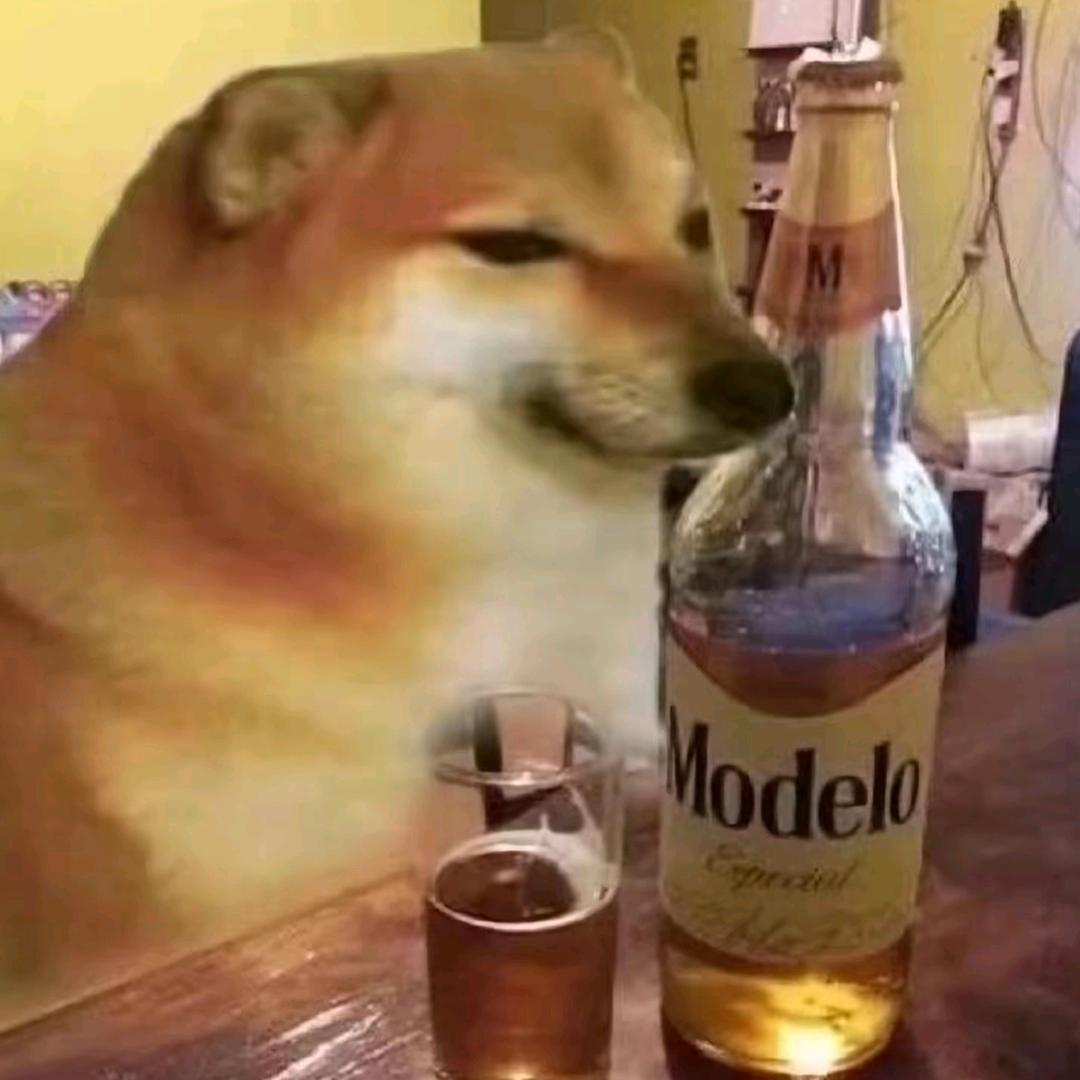 九灯