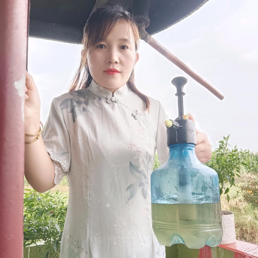 梦里蝴蝶