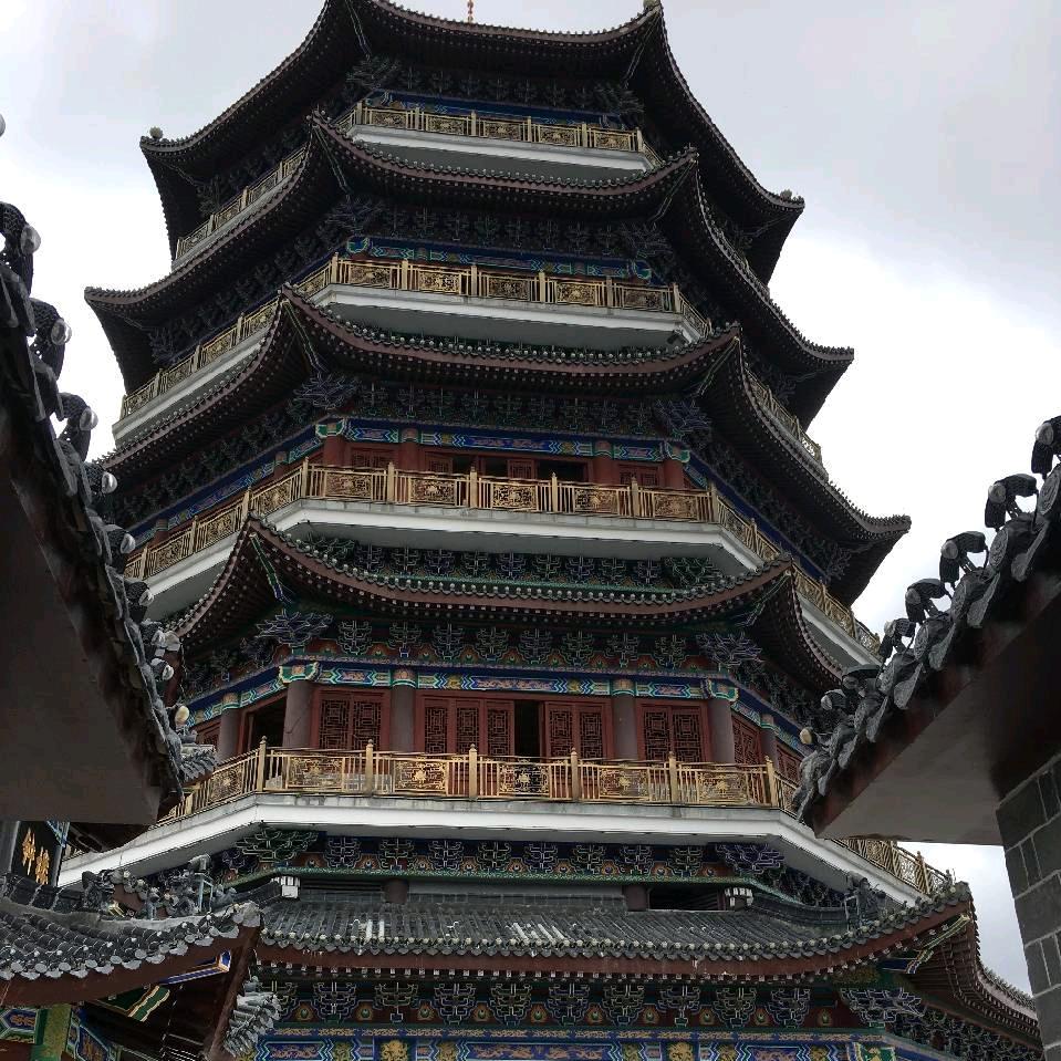 没着落的风