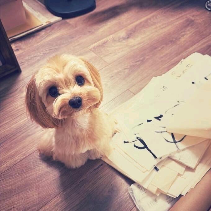 第四篇冬_