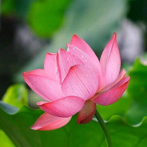 专业印刷包装厂家