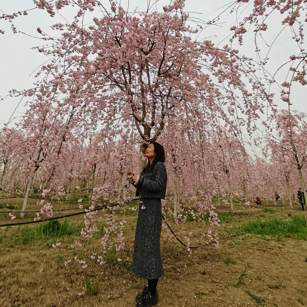 @夏沫🍎