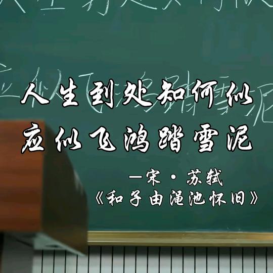 熊猫键盘侠_z鹏