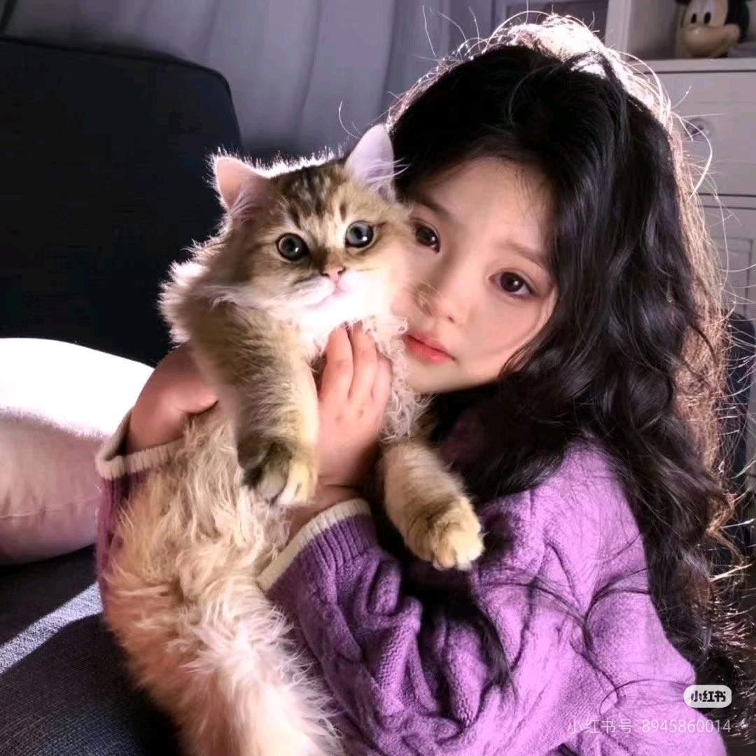 小困包ʚʕ̯•͡˔•̯᷅ʔ