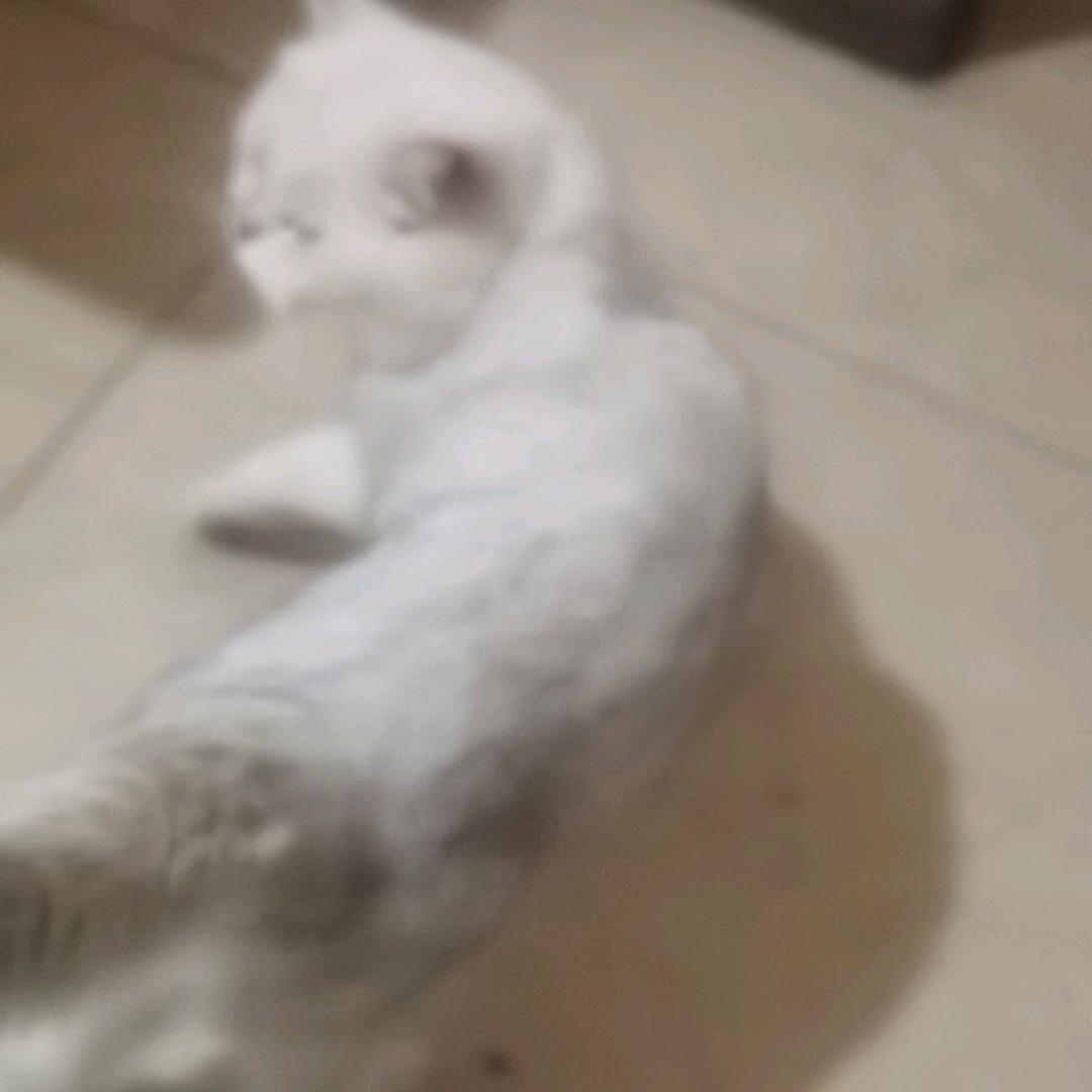 找盒盒