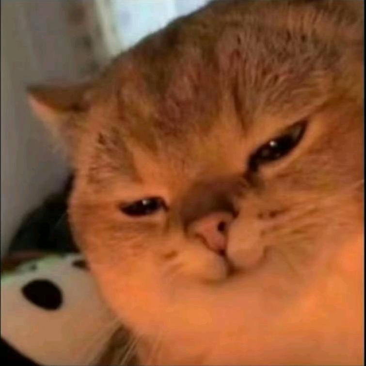 花开富贵67673454