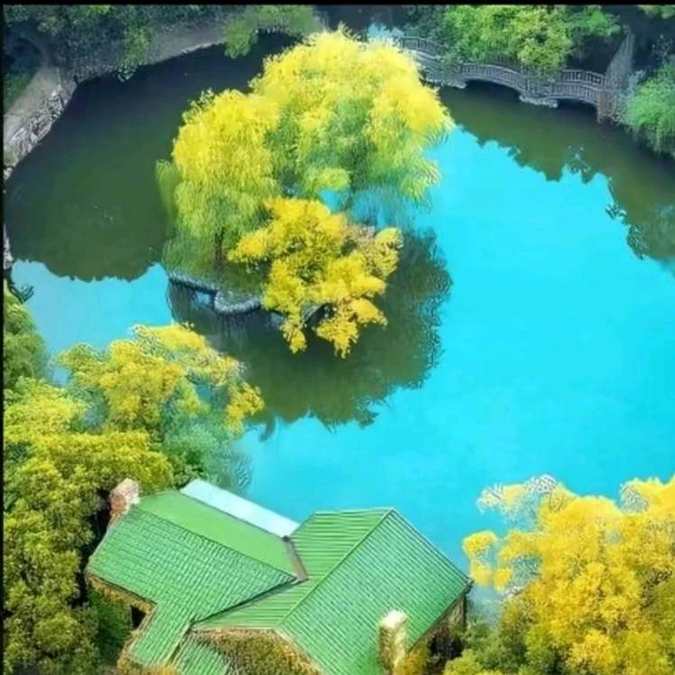 丑小鸭