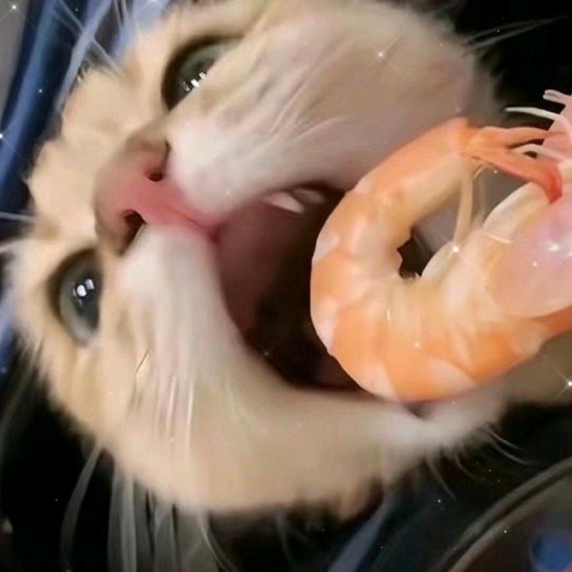 小意