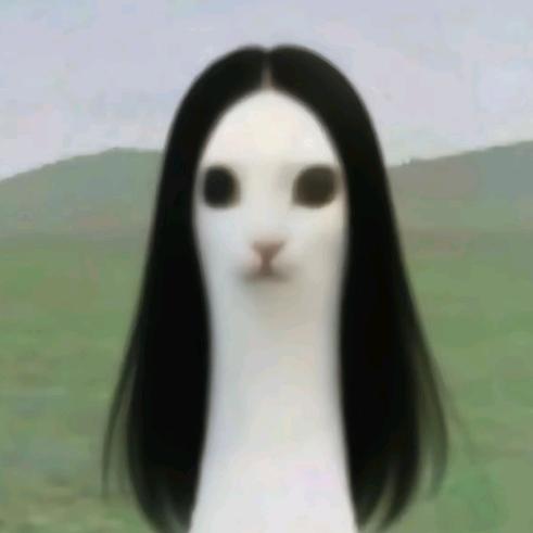 司空震凶兆
