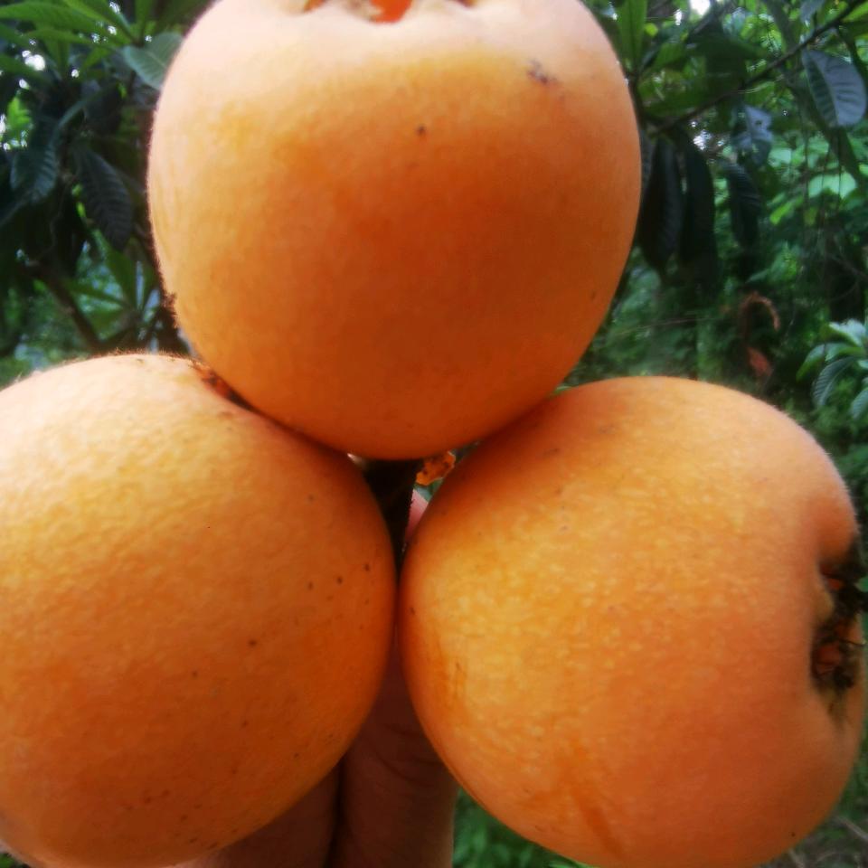 冬天的太阳☀️