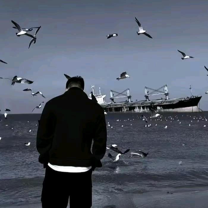 互粉必回✔董董董董