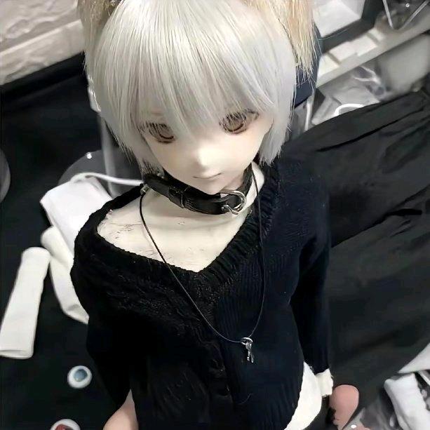 呆呆博