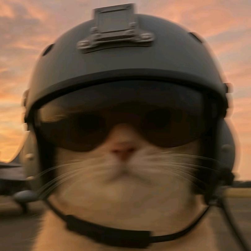 猫A梦