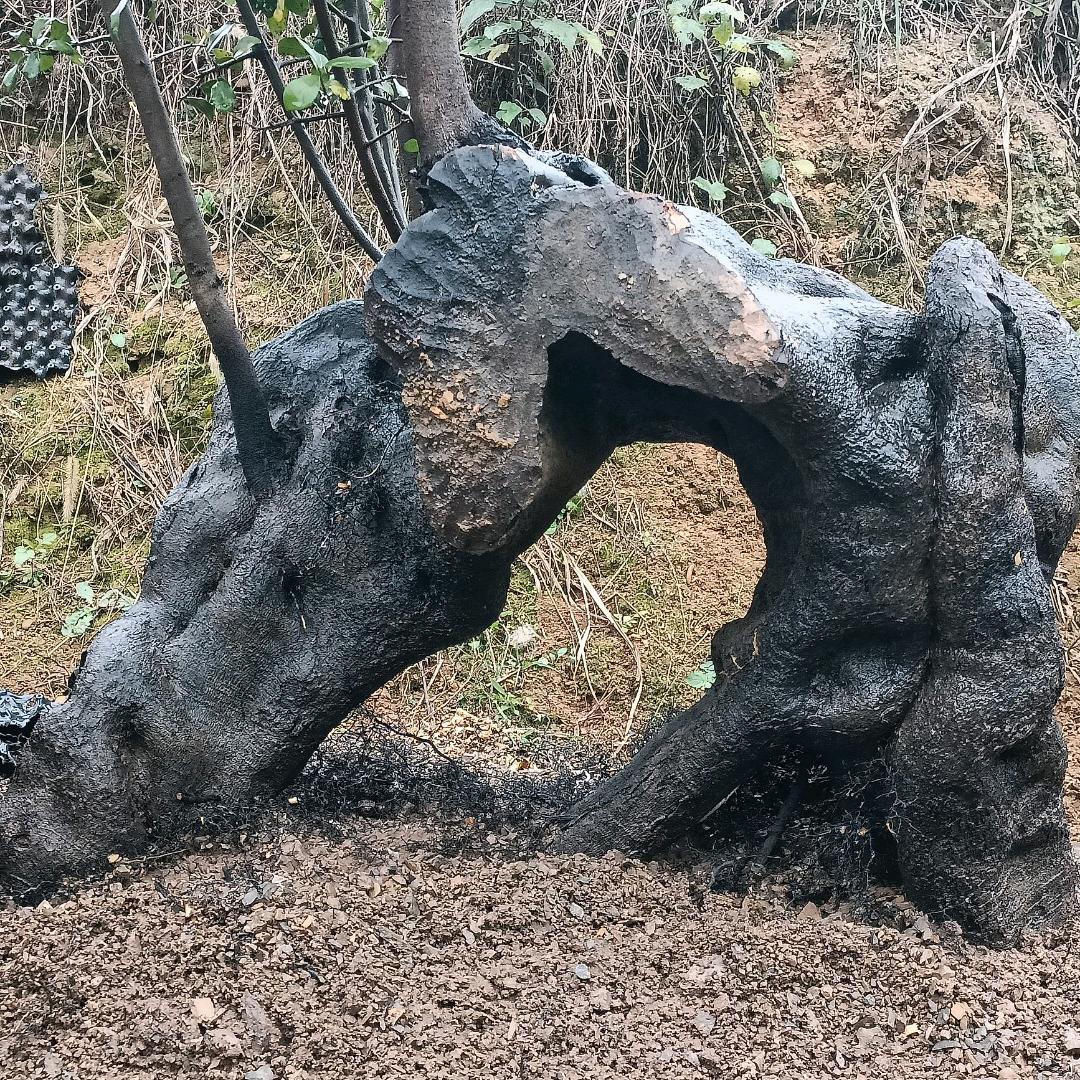 秀山县金弹子盆景经营部