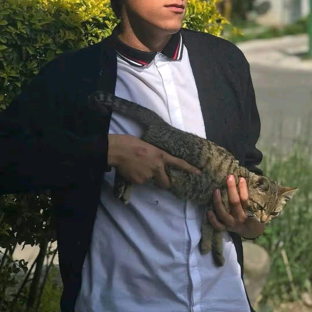 JJ