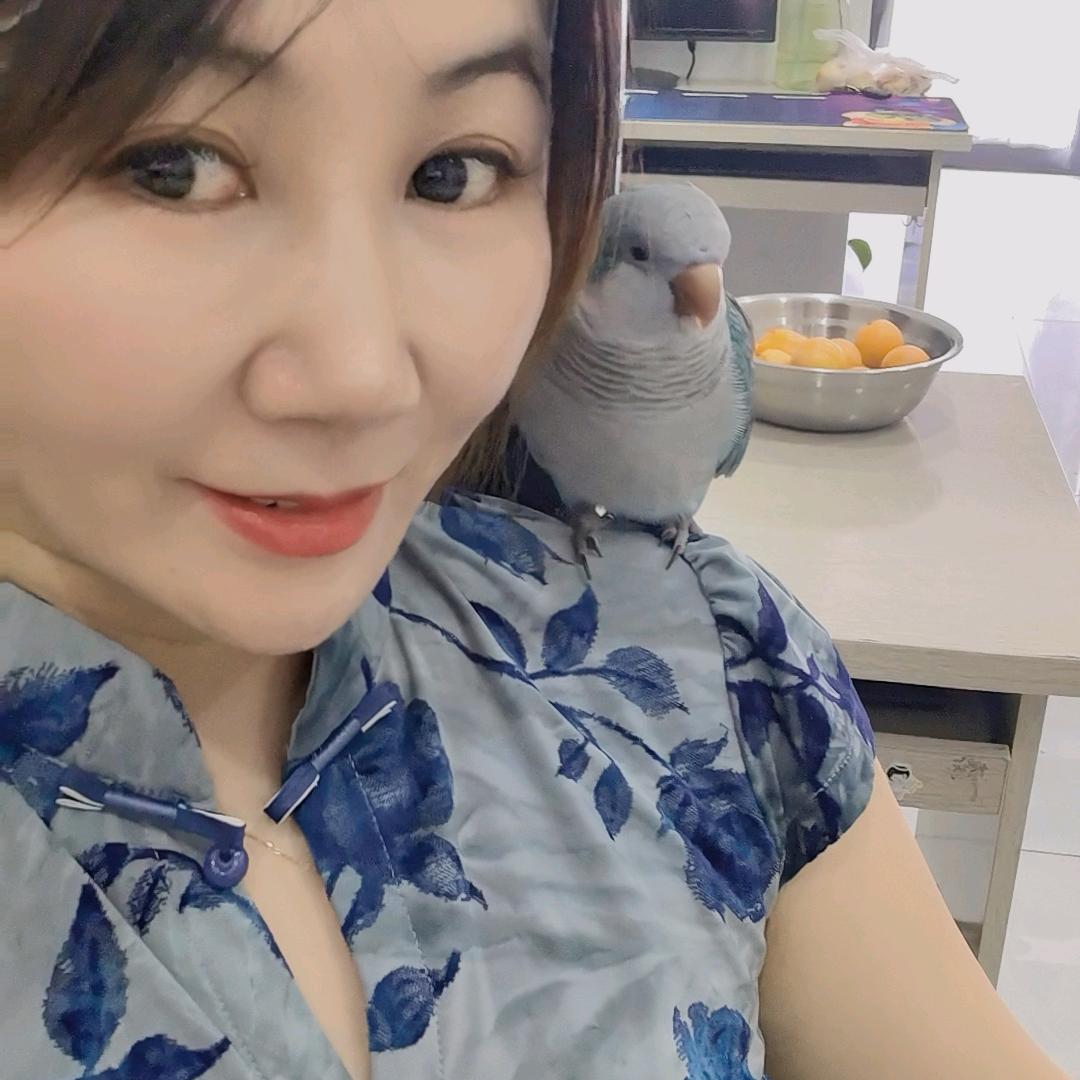 一个喜欢鹦鹉的房产人