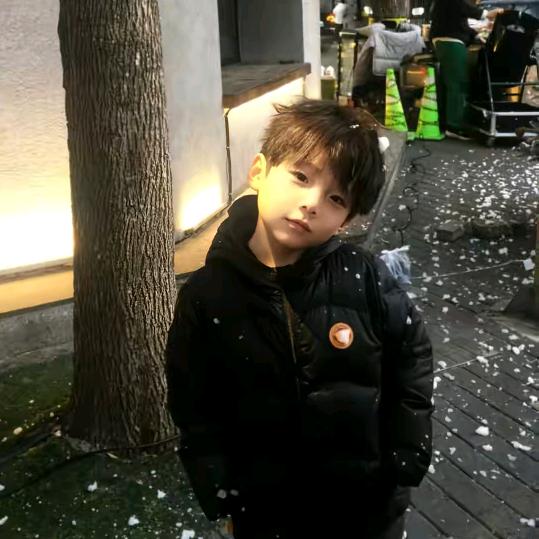 爱吃炸鱼薯条🍟