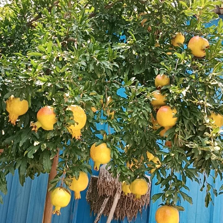 错与对让明天会更好