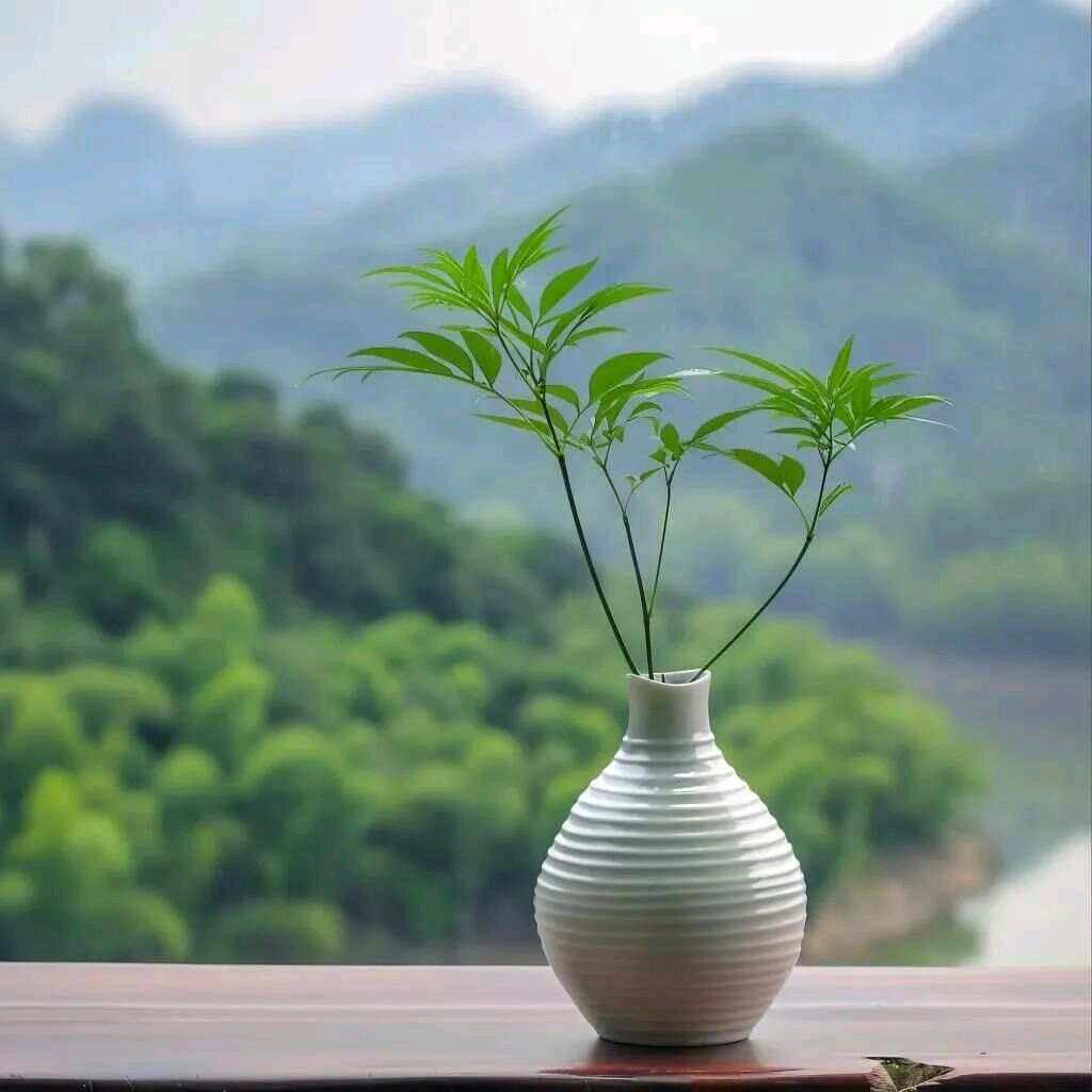 潘老师讲养肤