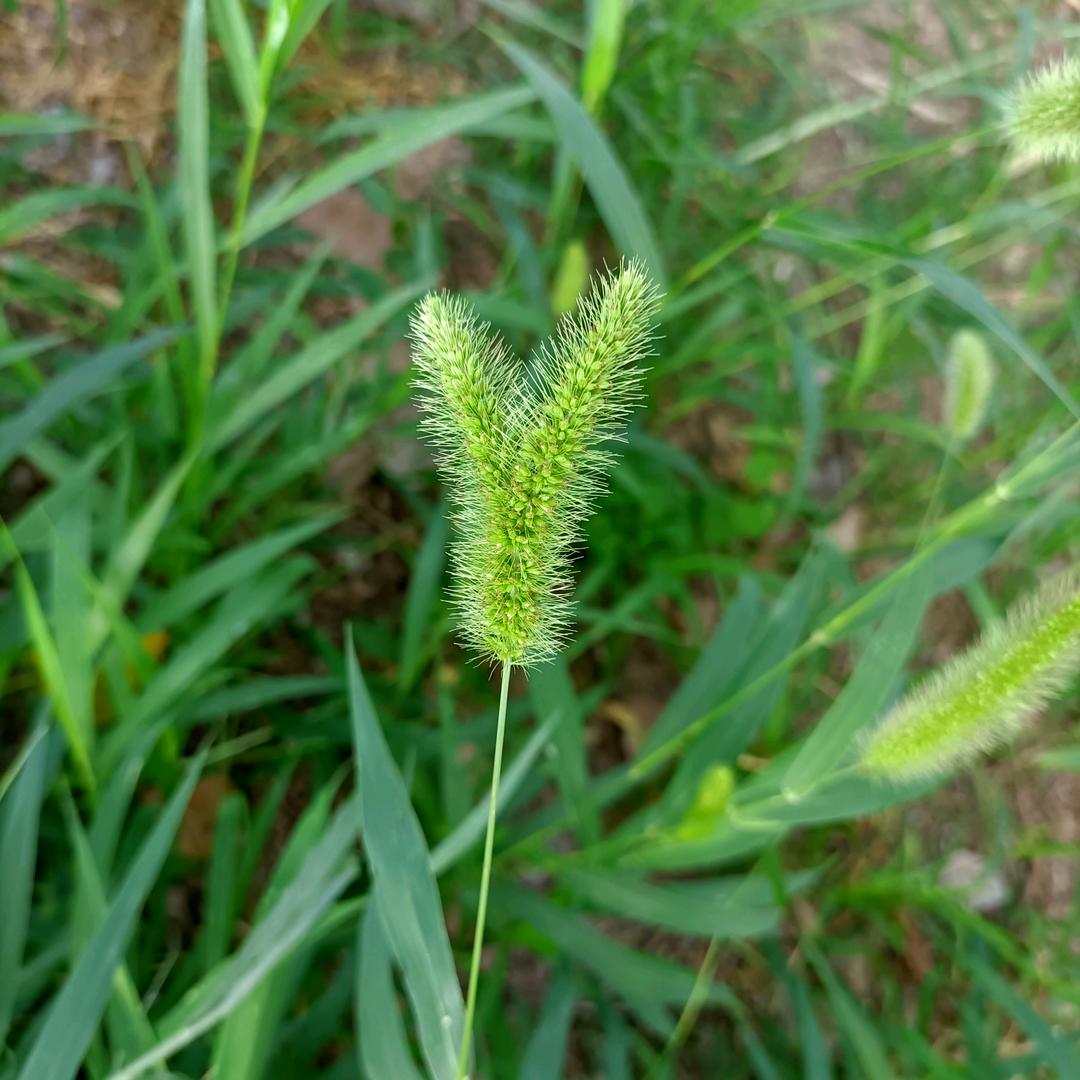 缘分