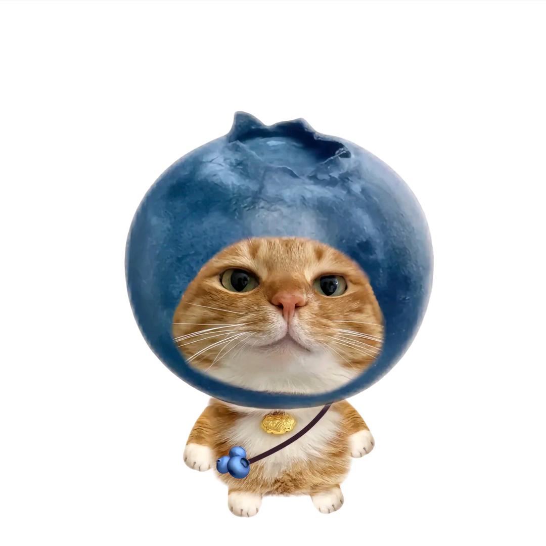 AAA南梁批发龙哥