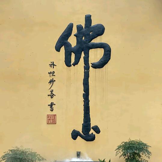 小伍哥