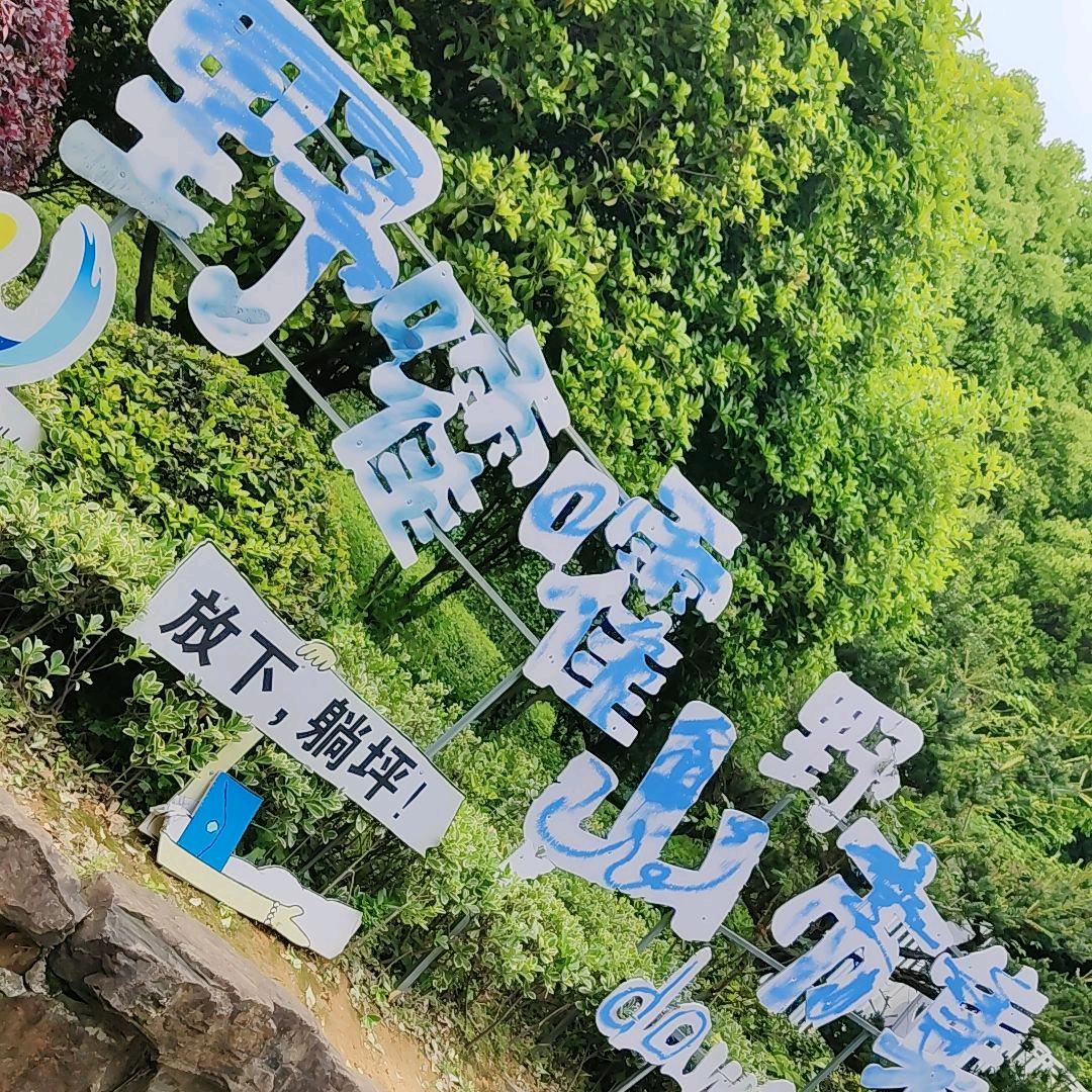 东来东往