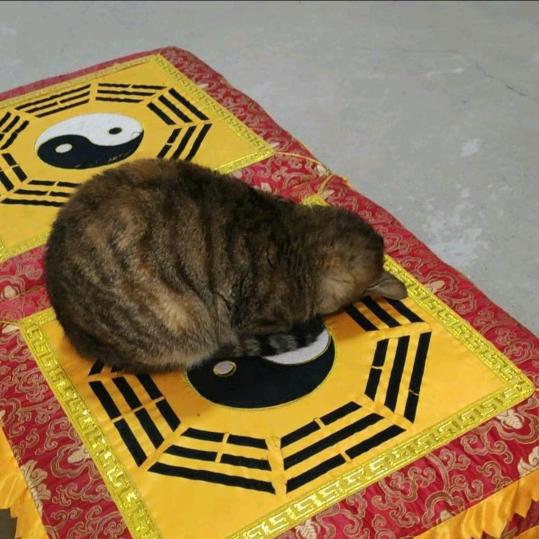 你长的像荷包蛋