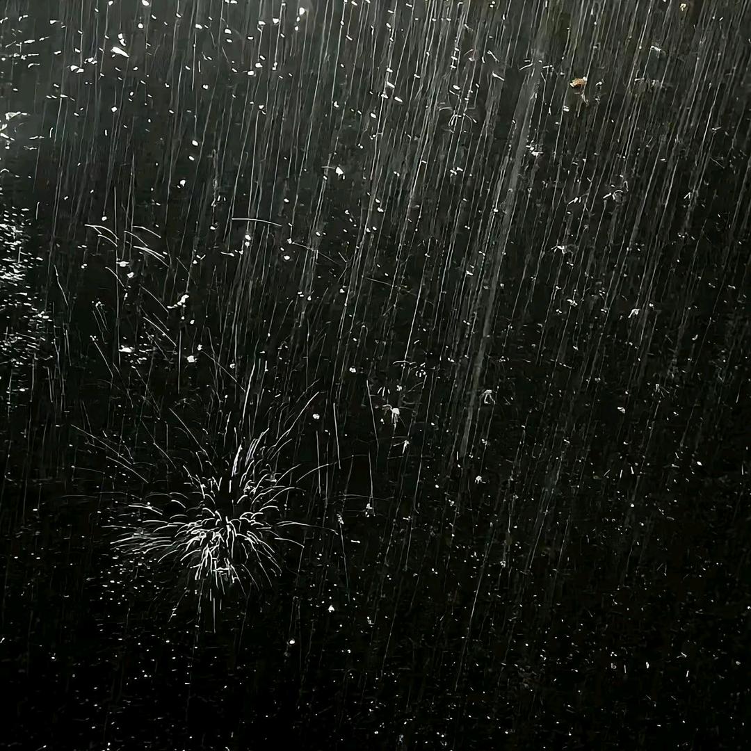 我是黄老丝呀！