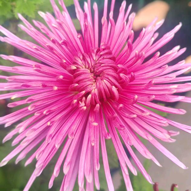 老*陆*：已关注你！