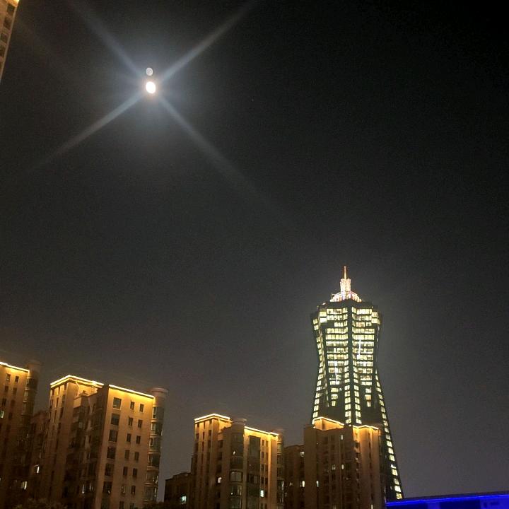 怕黑，可是却恋上了夜