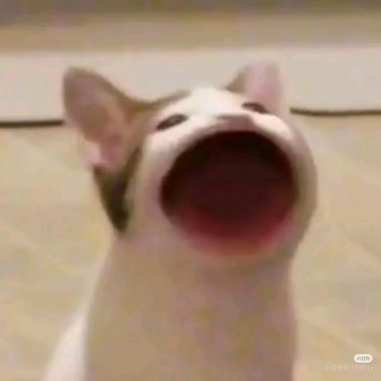墨炏