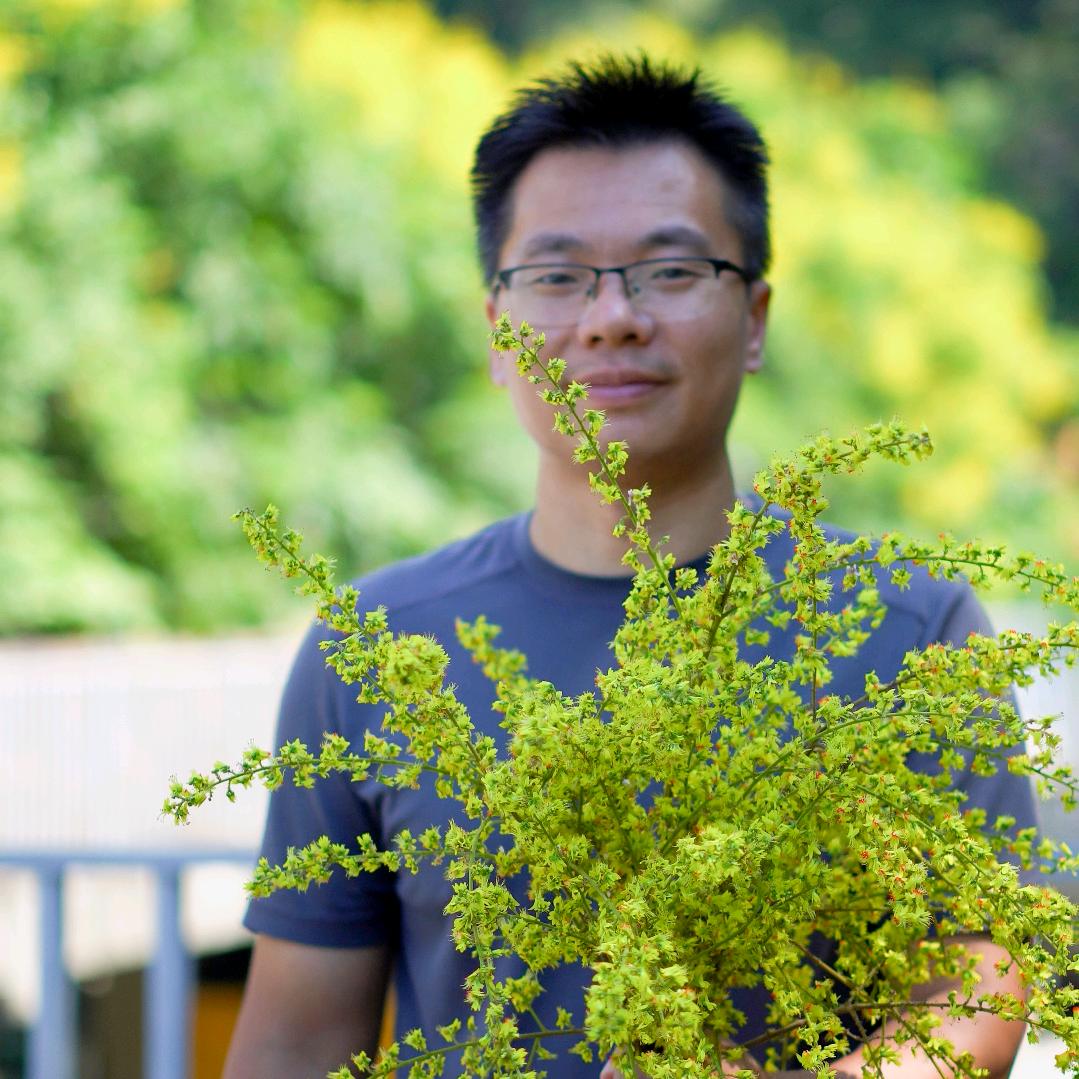 植物识别与妙用