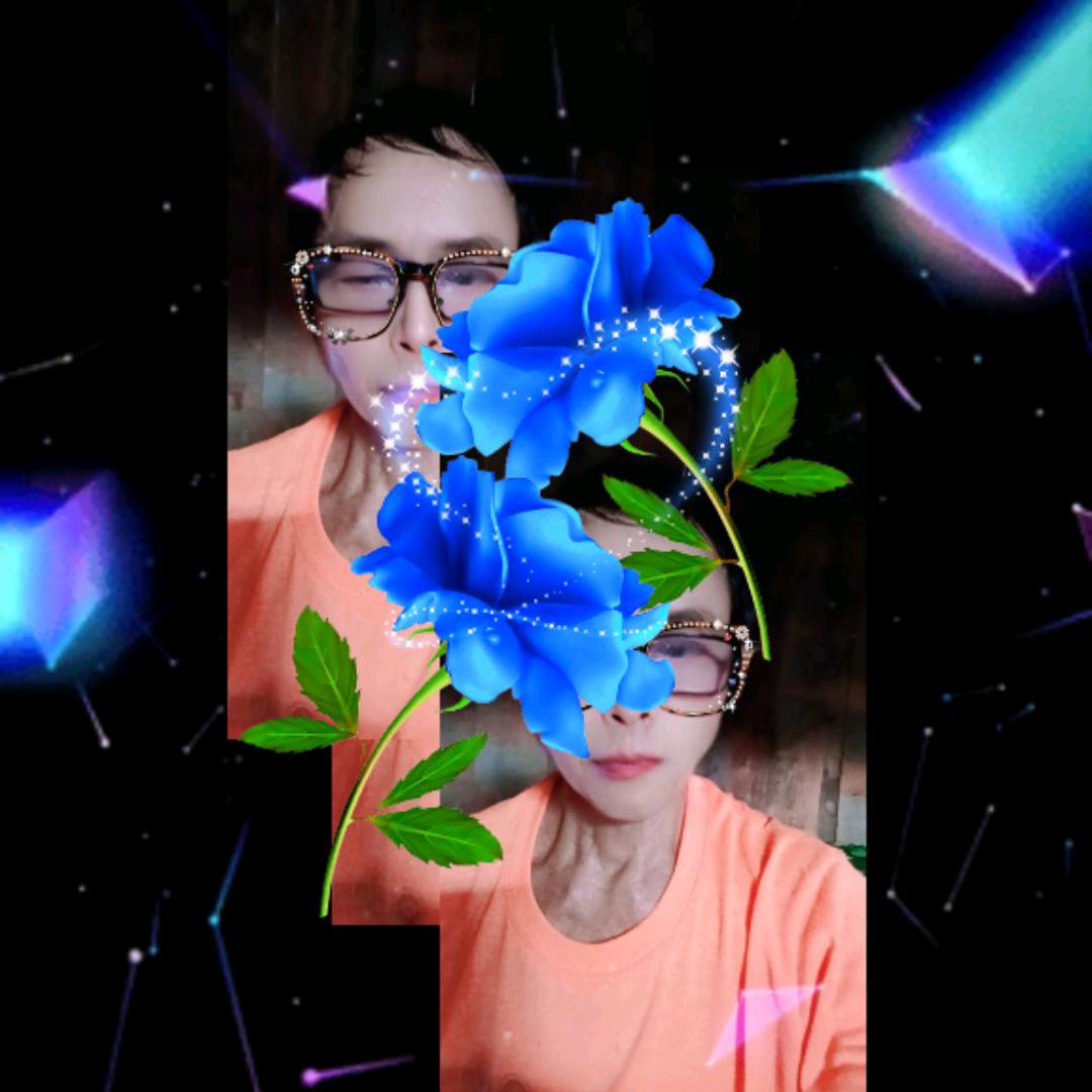 边城蜂农