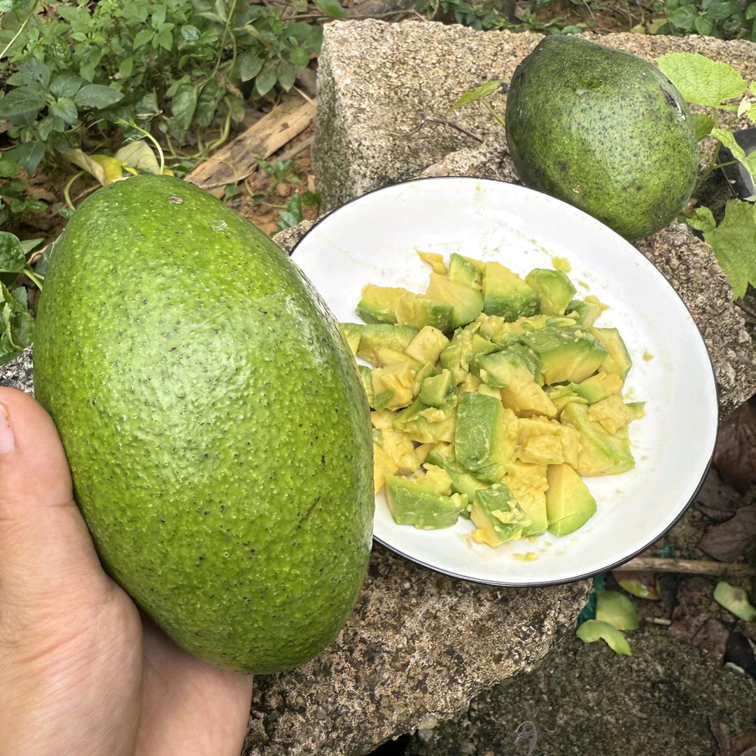 旺旺碎冰冰