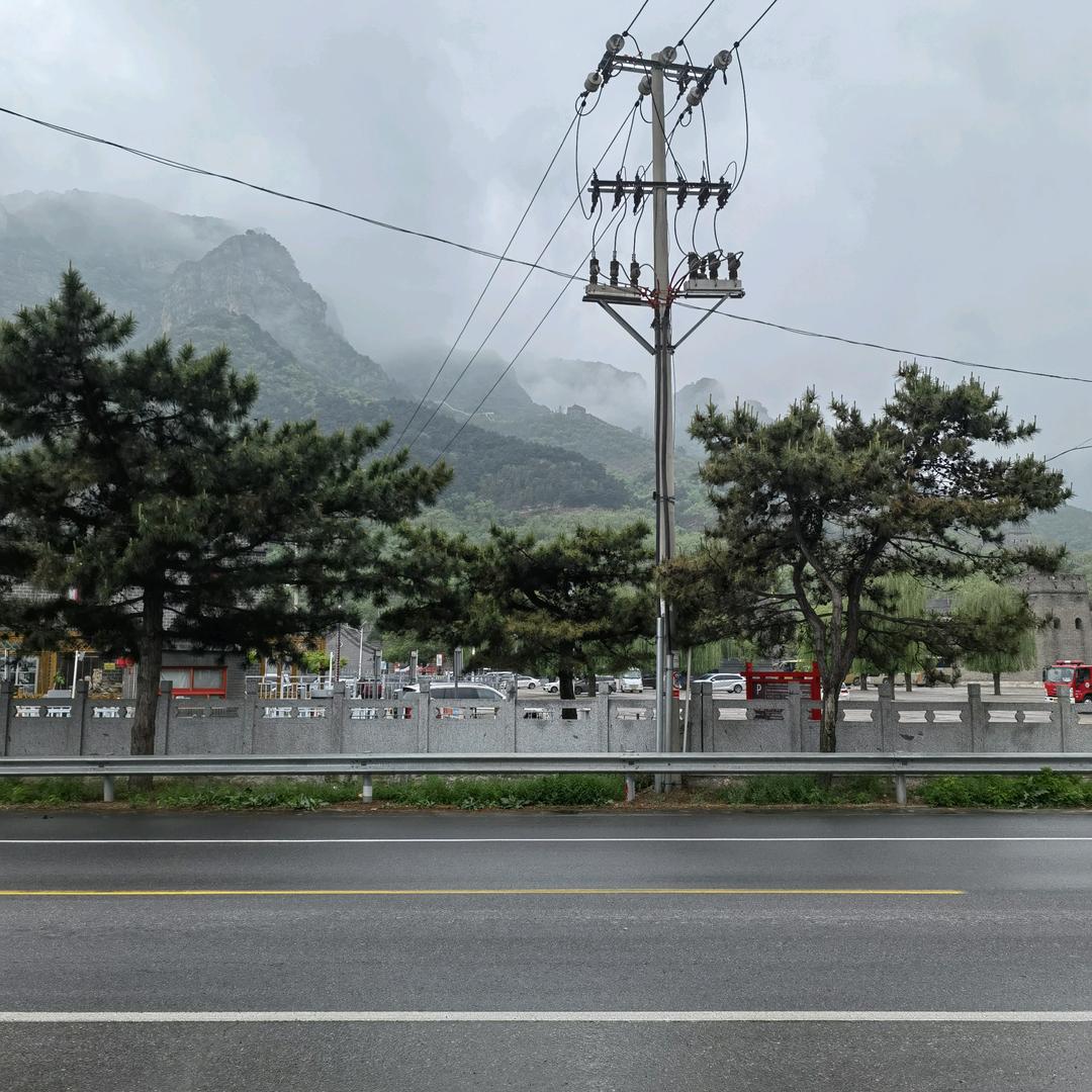 忆昂杨