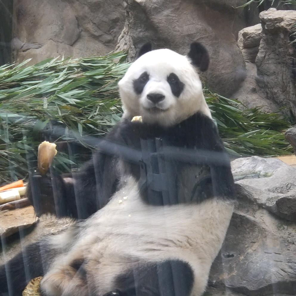 快乐在哪