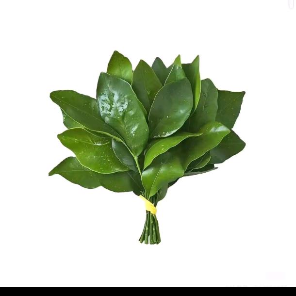 A.
