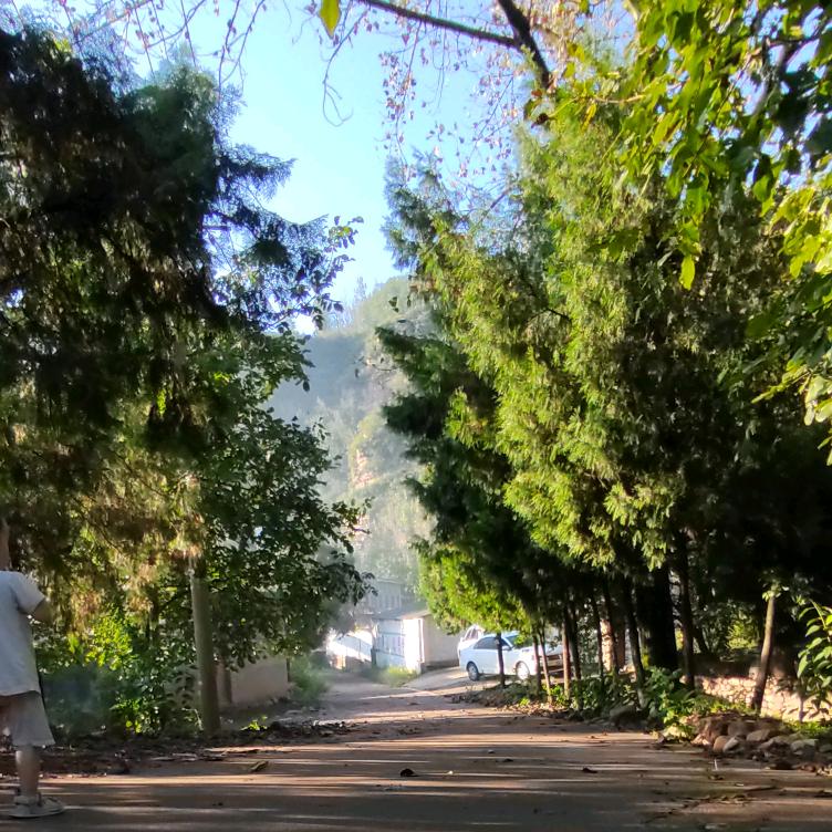 今日话题