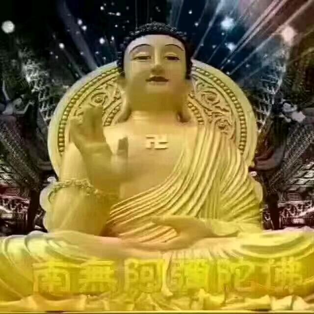 wwww