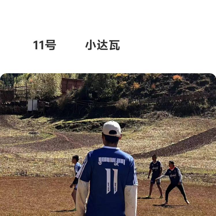 向达嘛11号